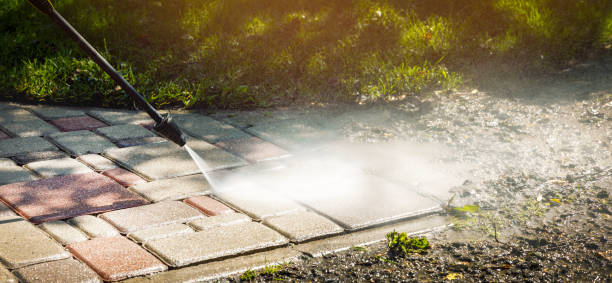 Animal Enclosure Cleaning in Garnet, CA